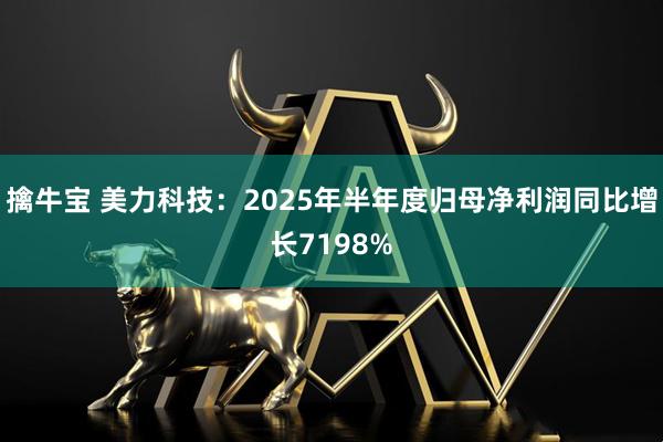 擒牛宝 美力科技：2025年半年度归母净利润同比增长7198%