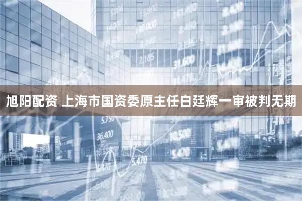 旭阳配资 上海市国资委原主任白廷辉一审被判无期
