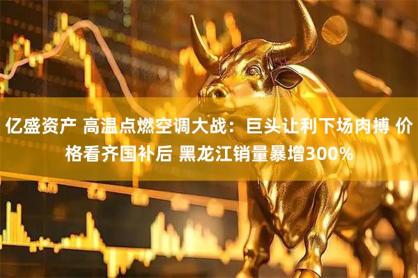 亿盛资产 高温点燃空调大战:巨头让利下场肉搏 价格看齐国补后 黑龙江销量暴增300%